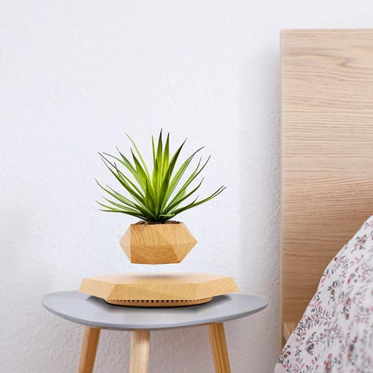 Levitating Plant Pot